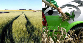 Ethanol sale to start from big cities